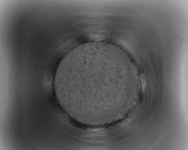 X0000088700745200706071539