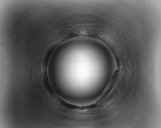 X0000088700747200706071539