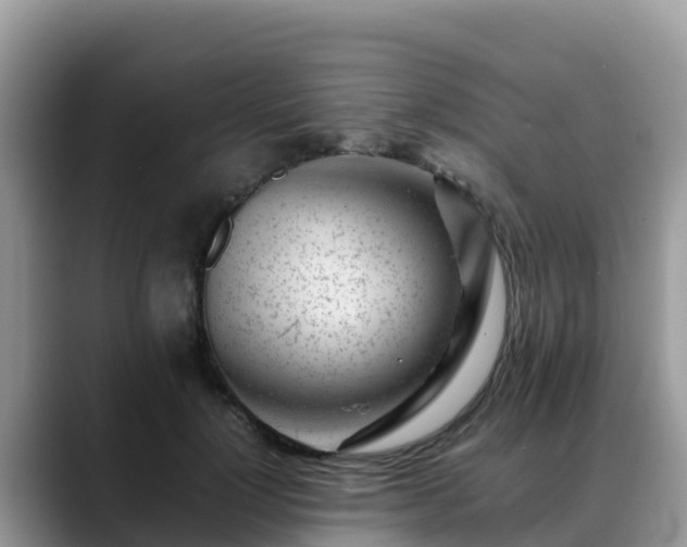 X0000088700748200706071539