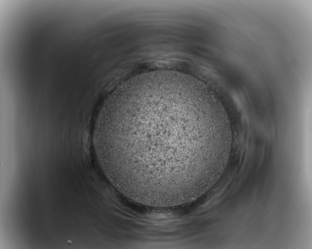 X0000088700749200706071539