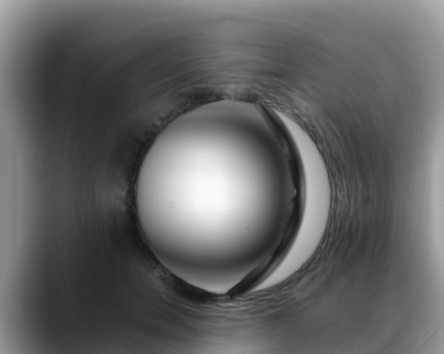 X0000088700750200706071539