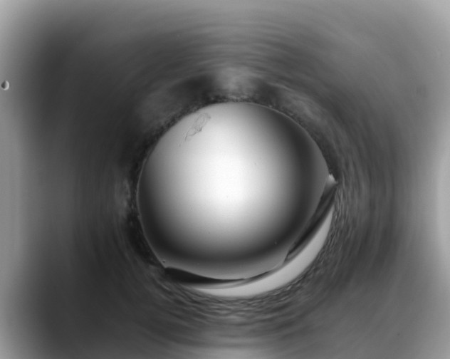 X0000088700752200706071539