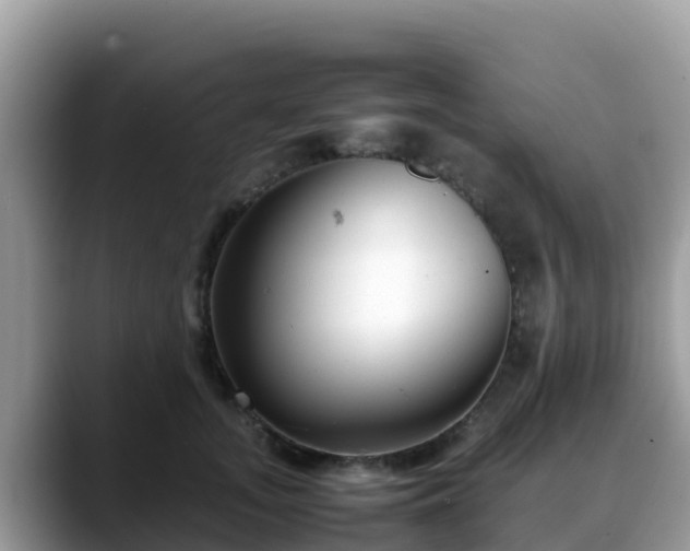 X0000088700755200706071539