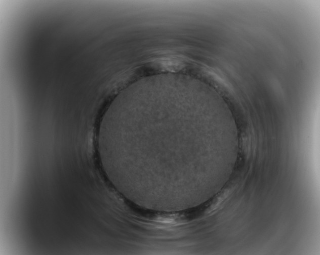 X0000088700757200706071539