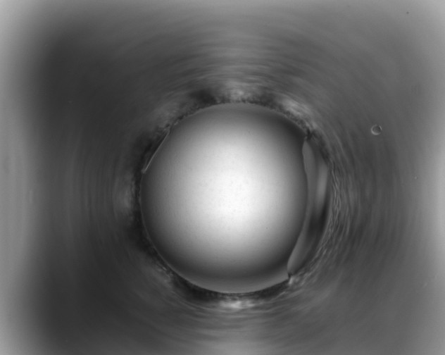 X0000088700760200706071539