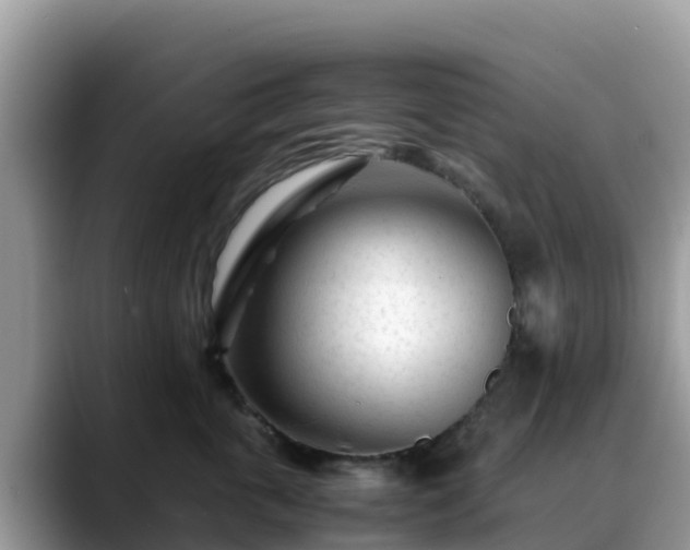 X0000088700763200706071539