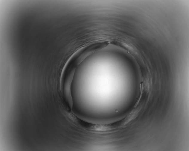 X0000088700766200706071539