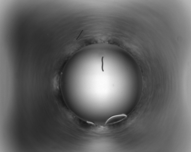 X0000088700768200706071540
