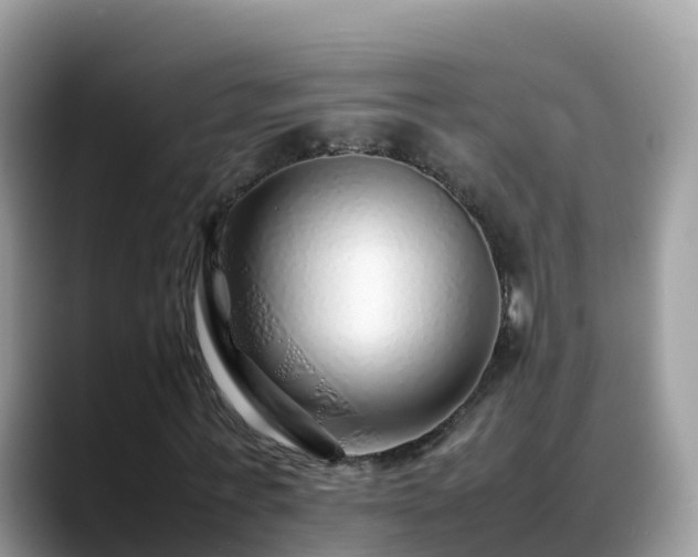 X0000088700771200706071539