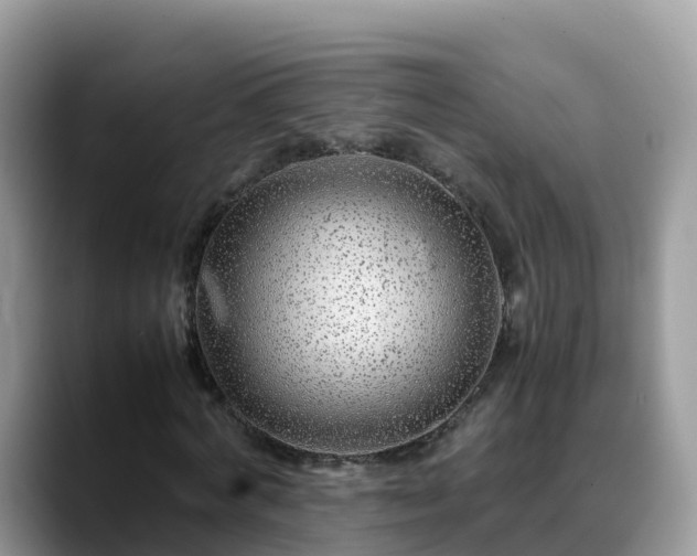 X0000088700772200706071539