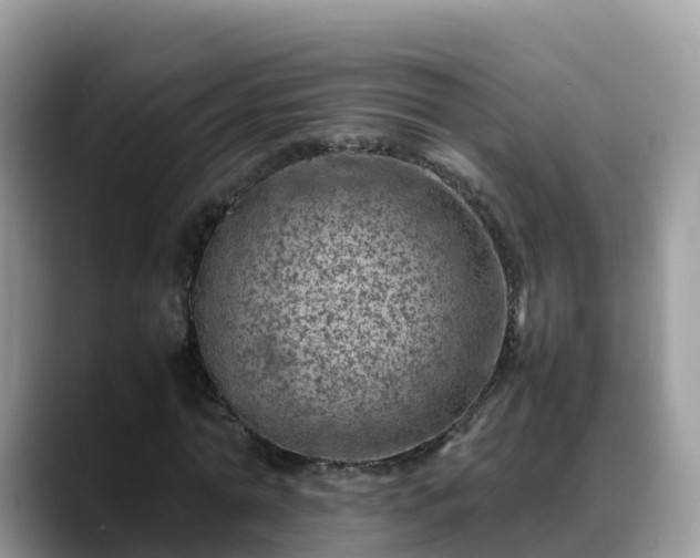 X0000088700774200706071539