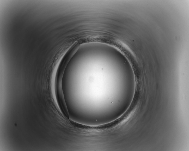 X0000088700777200706071539