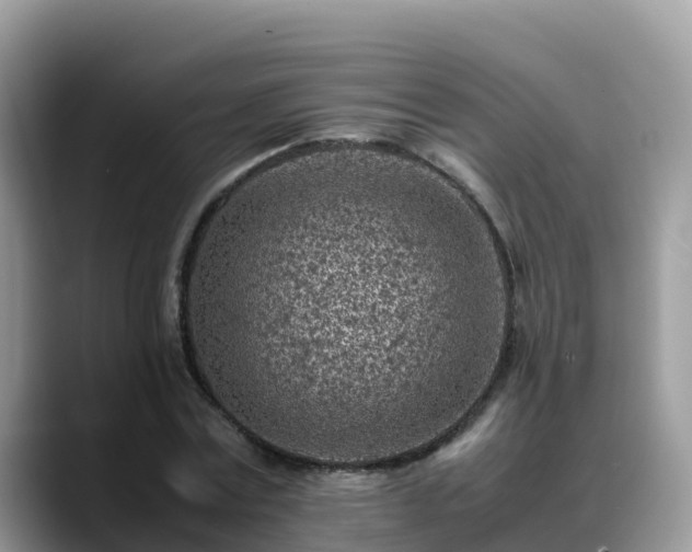 X0000088700779200706071539