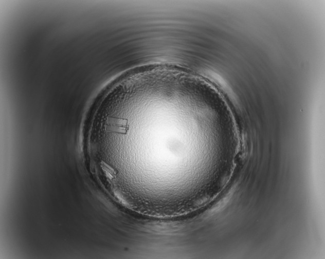 X0000088700780200706071539