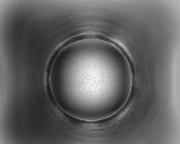X0000088700783200706071539