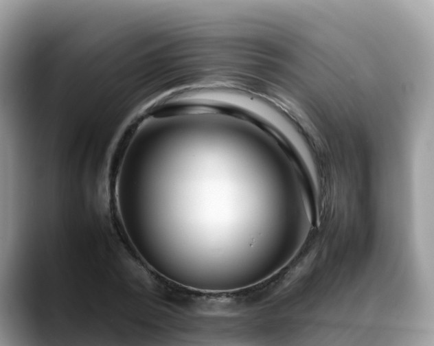 X0000088700784200706071539