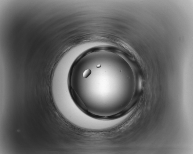 X0000088700785200706071539