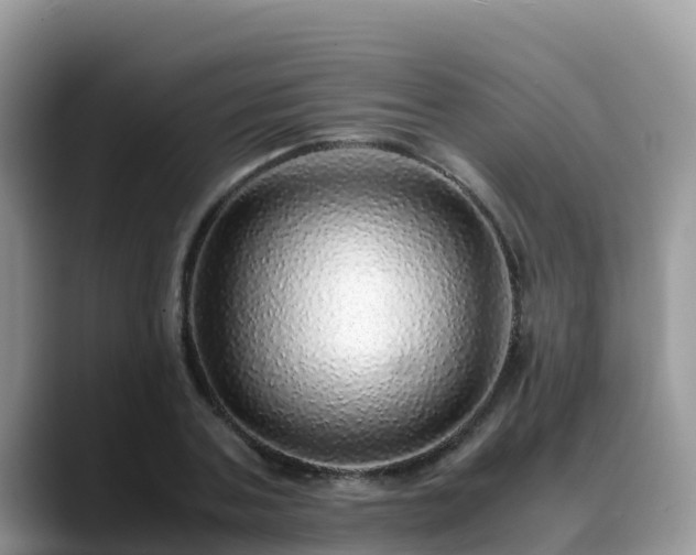 X0000088700787200706071539