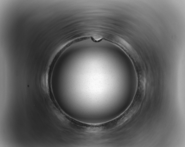 X0000088700788200706071539