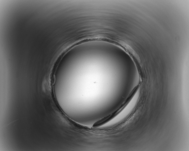 X0000088700789200706071539