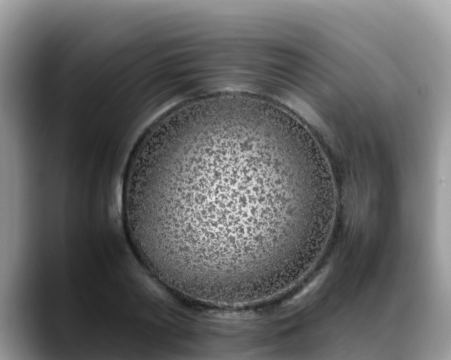 X0000088700790200706071539