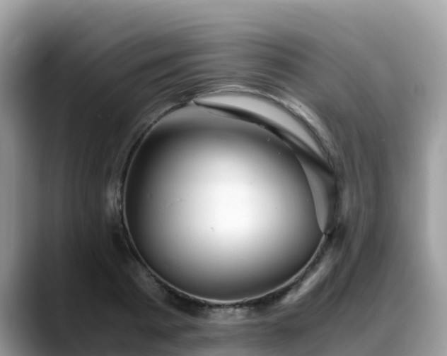 X0000088700793200706071539