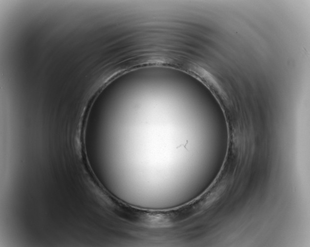 X0000088700794200706071539