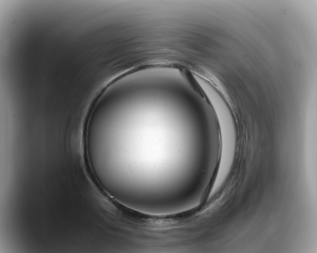 X0000088700795200706071539