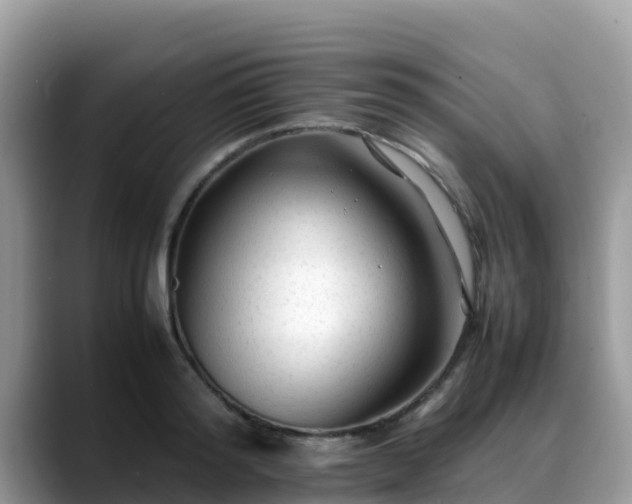 X0000088700796200706071539