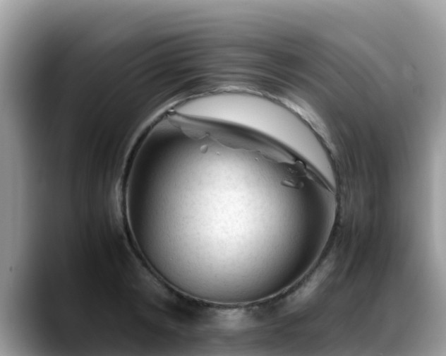 X0000088700798200706071539