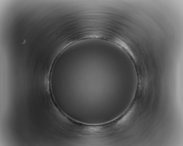 X0000088700802200706071538