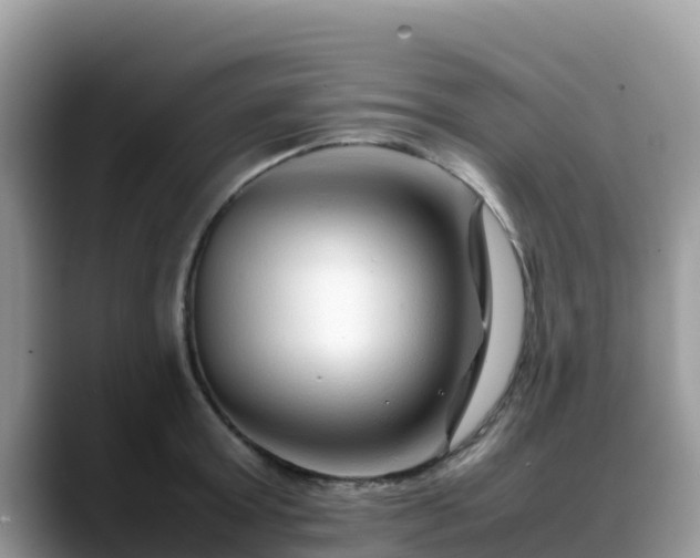 X0000088700803200706071538