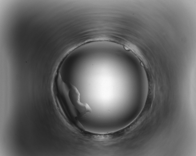 X0000088700805200706071538