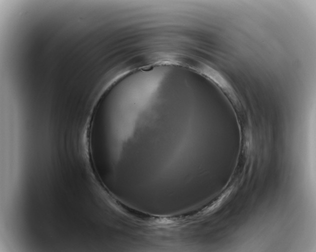 X0000088700806200706071538