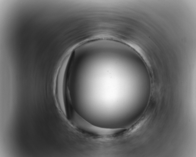 X0000088700815200706071538