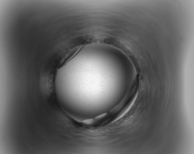 X0000088700818200706071538