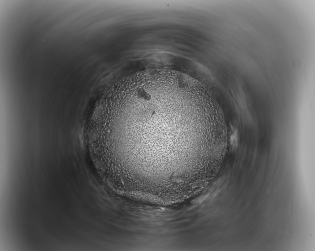 X0000088700819200706071538