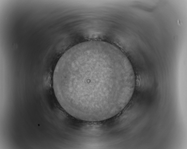 X0000088700820200706071538