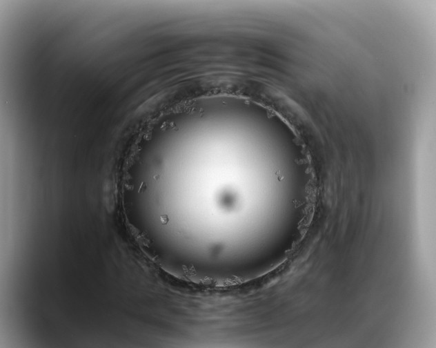 X0000088700821200706071538