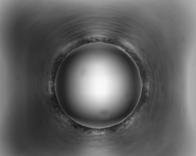 X0000088700822200706071538
