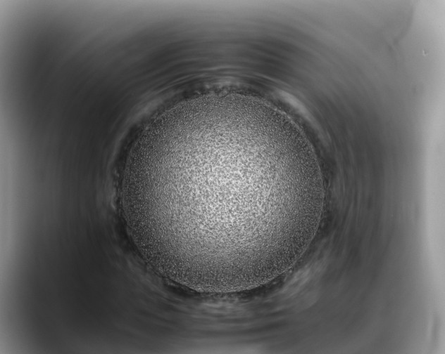 X0000088700823200706071538
