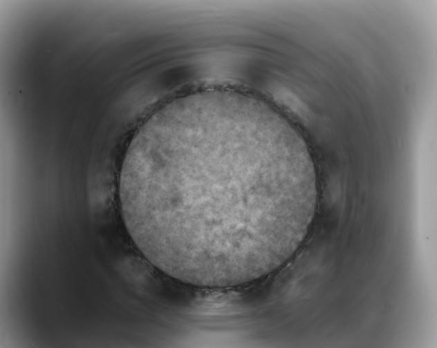X0000088700824200706071538