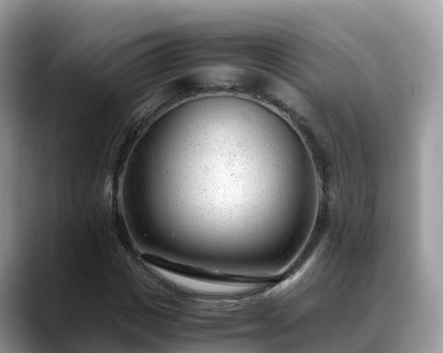 X0000088700825200706071538