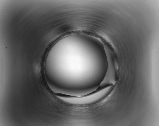 X0000088700826200706071538