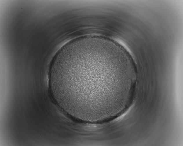 X0000088700829200706071538