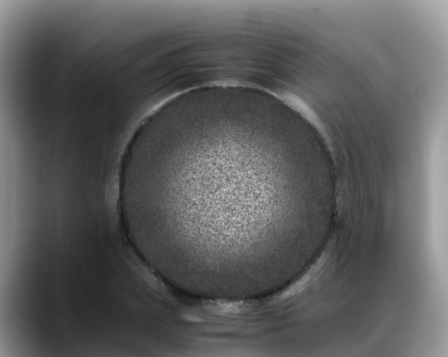 X0000088700831200706071538