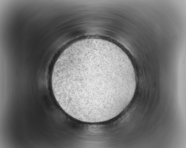 X0000088700832200706071538