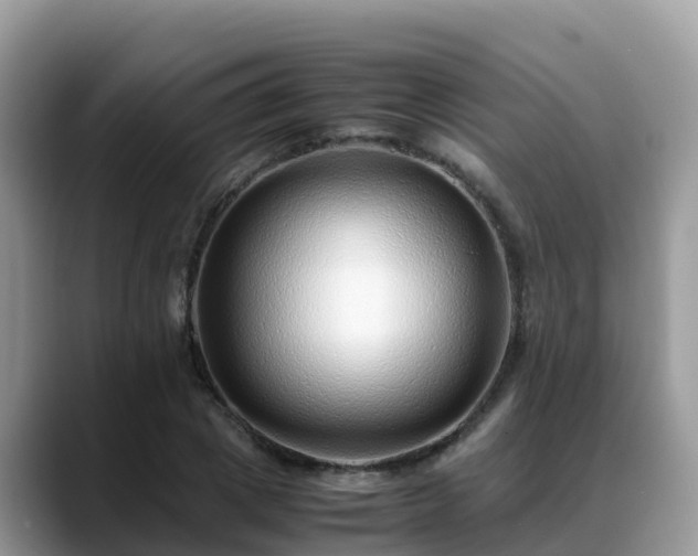 X0000088700833200706071538
