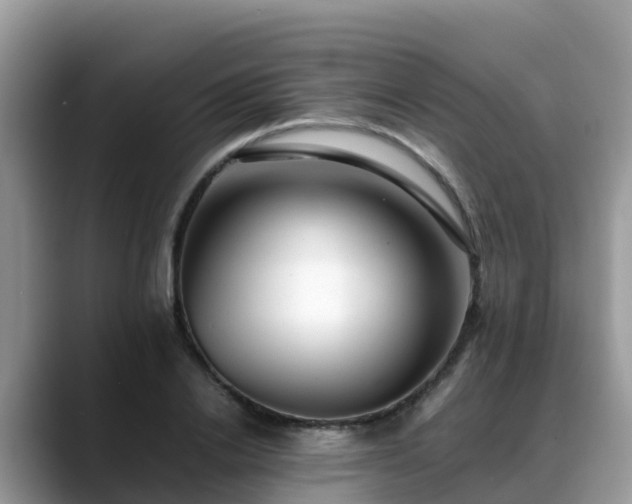 X0000088700838200706071538