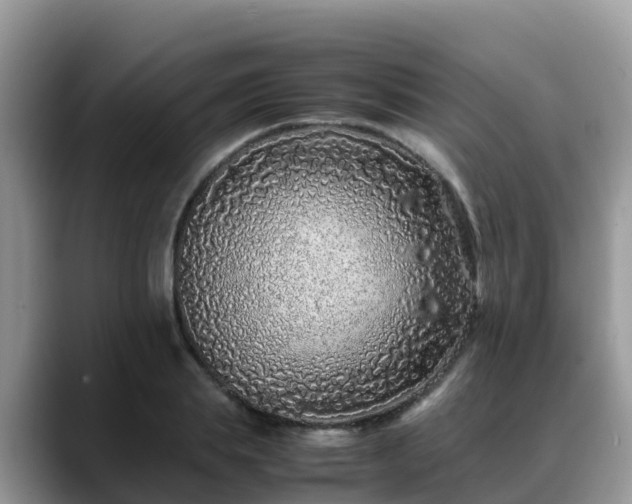 X0000088700839200706071538